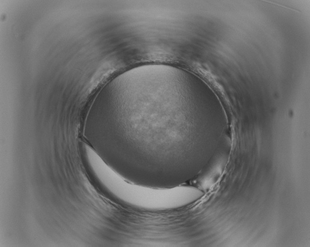 X0000088390154200706121219