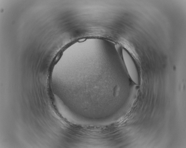 X0000088390156200706121219