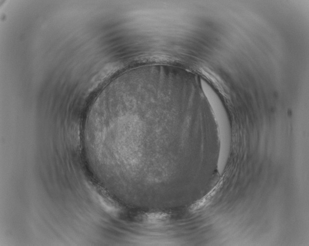 X0000088390158200706121219