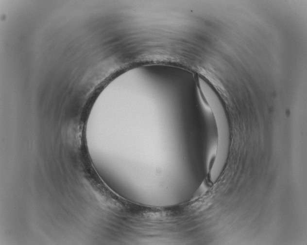 X0000088390160200706121219