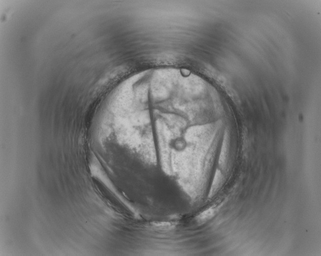 X0000088390161200706121219