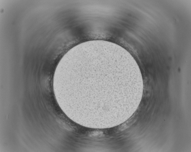 X0000088390162200706121219