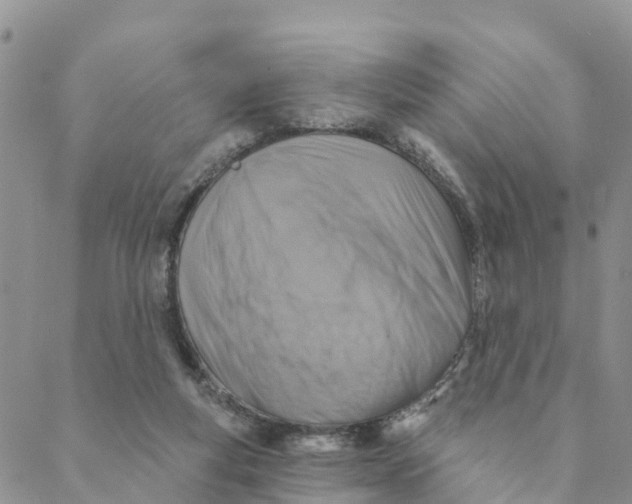 X0000088390163200706121219