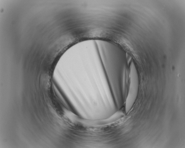 X0000088390164200706121219