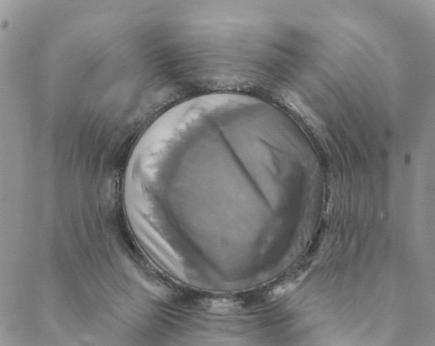 X0000088390165200706121219