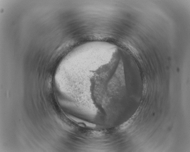 X0000088390166200706121219