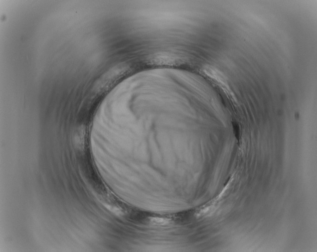 X0000088390167200706121219