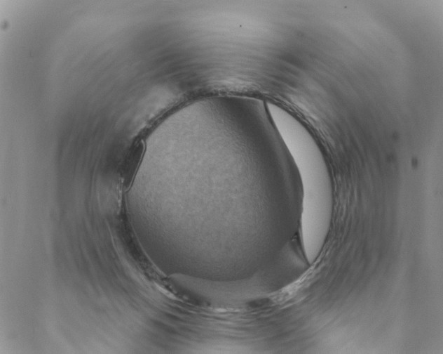 X0000088390168200706121219