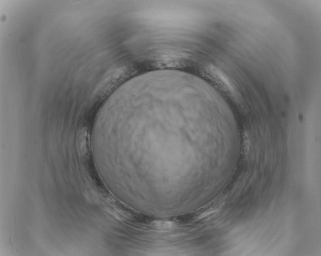 X0000088390169200706121219