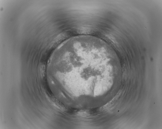 X0000088390171200706121219