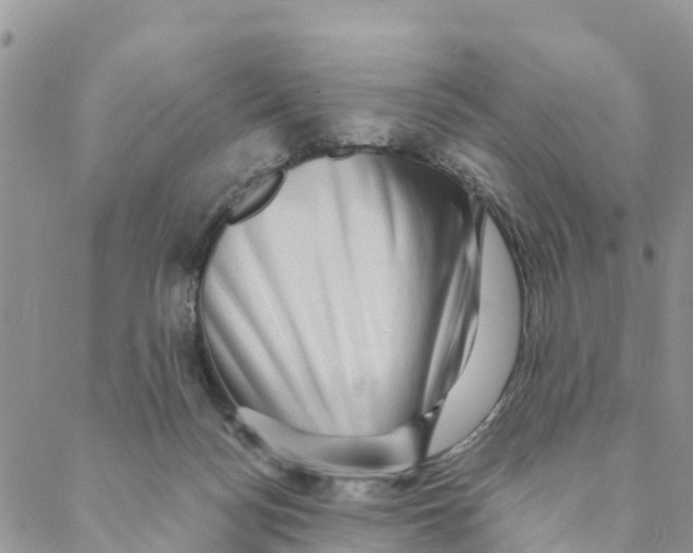 X0000088390172200706121219