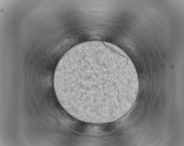 X0000088390174200706121219