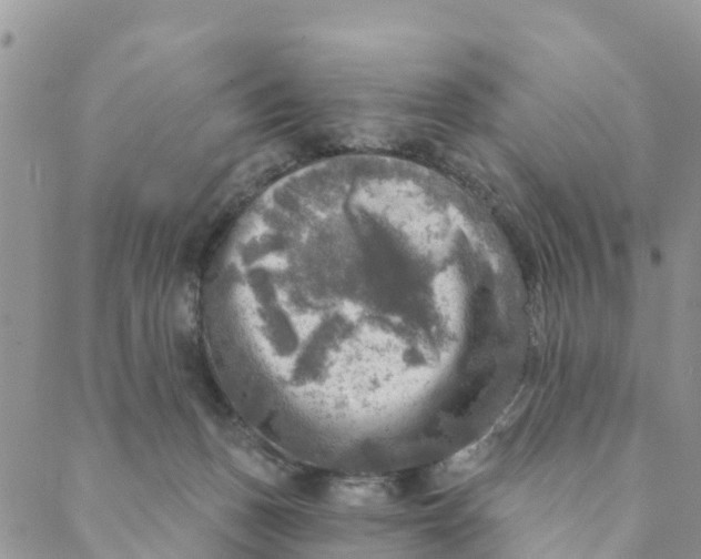 X0000088390175200706121219