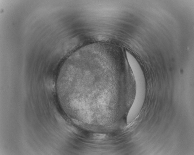 X0000088390176200706121219