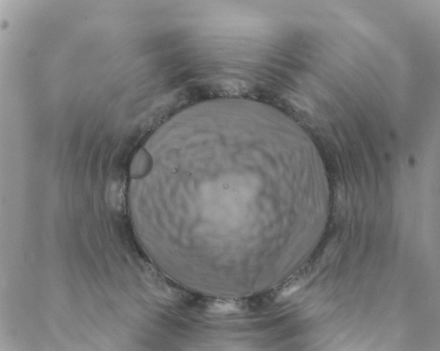 X0000088390177200706121219