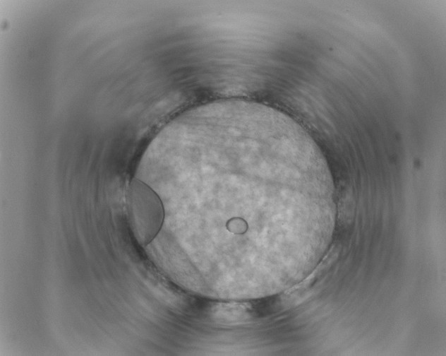 X0000088390179200706121219