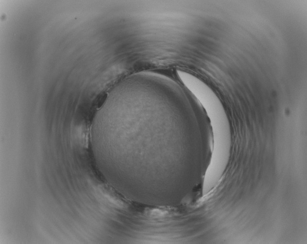 X0000088390180200706121219