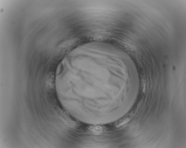 X0000088390181200706121219