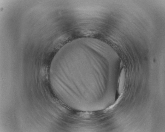 X0000088390182200706121219