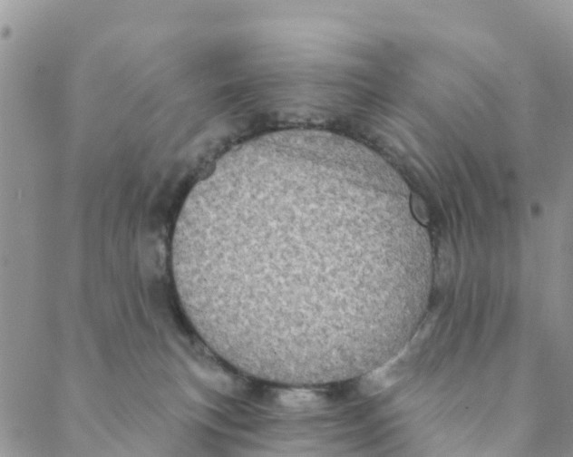 X0000088390183200706121219