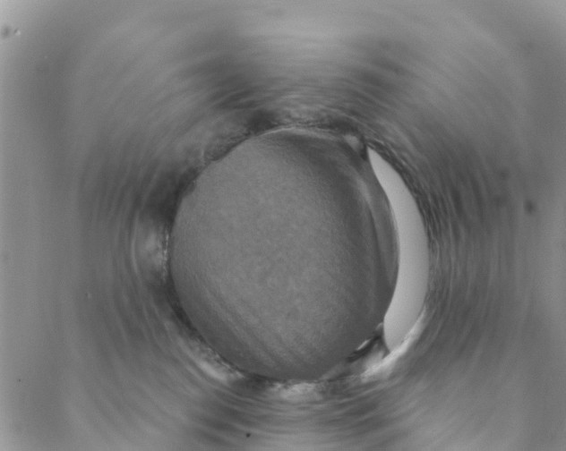 X0000088390186200706121219