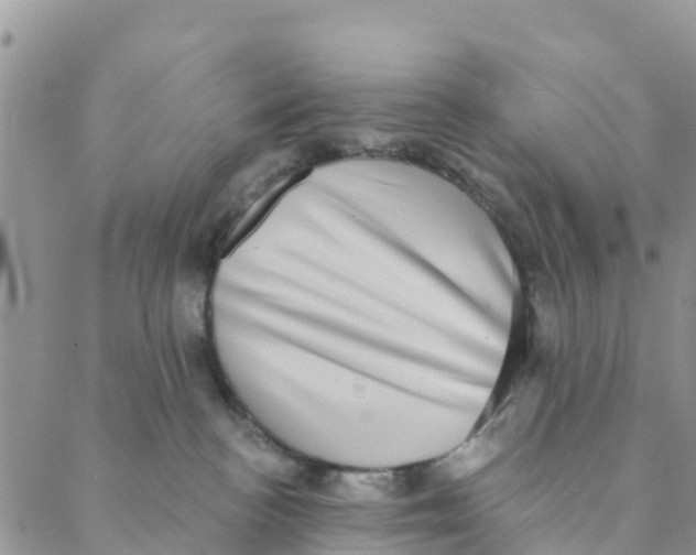 X0000088390188200706121219