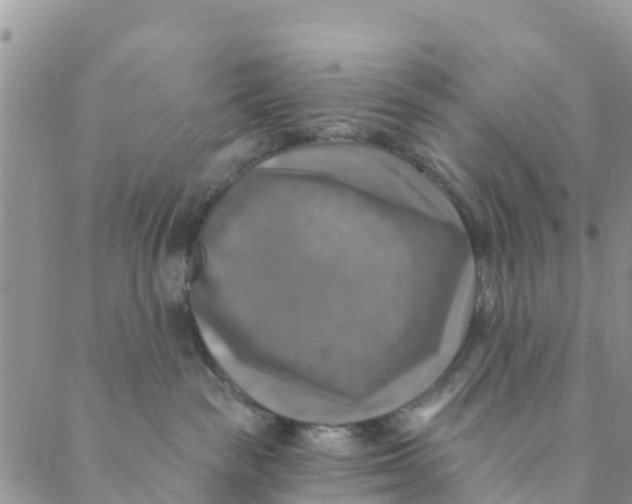 X0000088390189200706121219