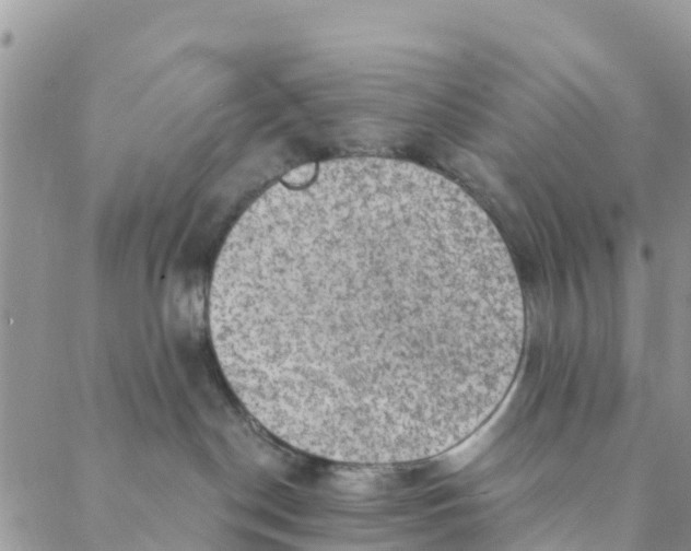 X0000088390190200706121219