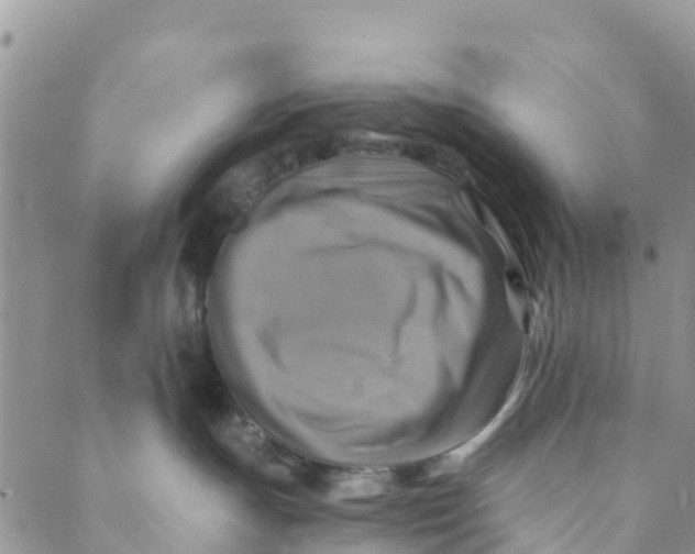 X0000088390191200706121219