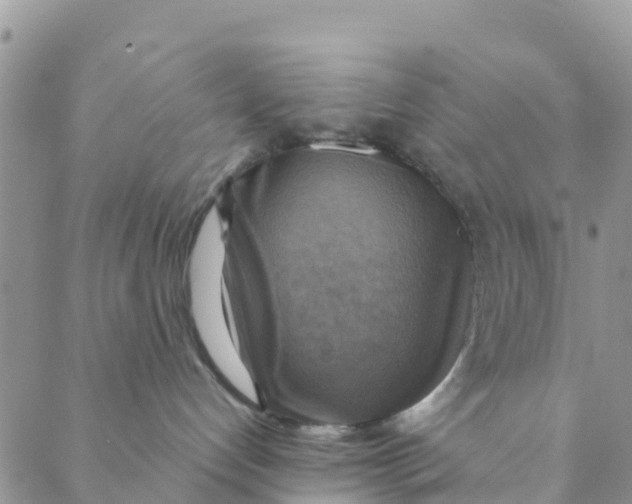 X0000088390192200706121219