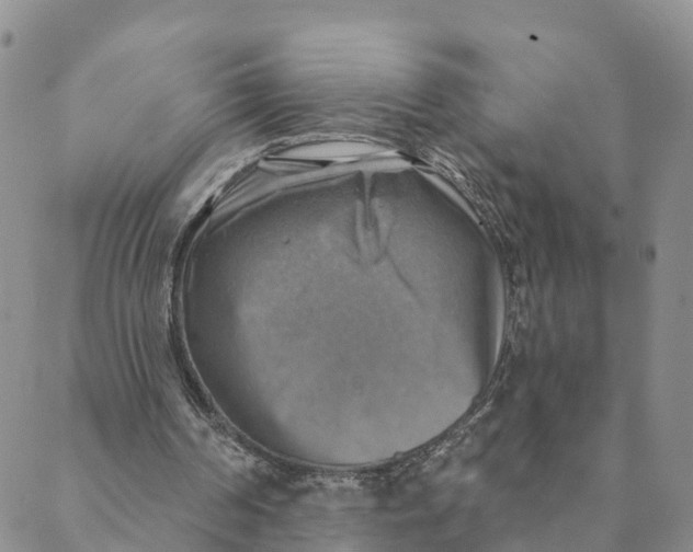 X0000088390194200706121218