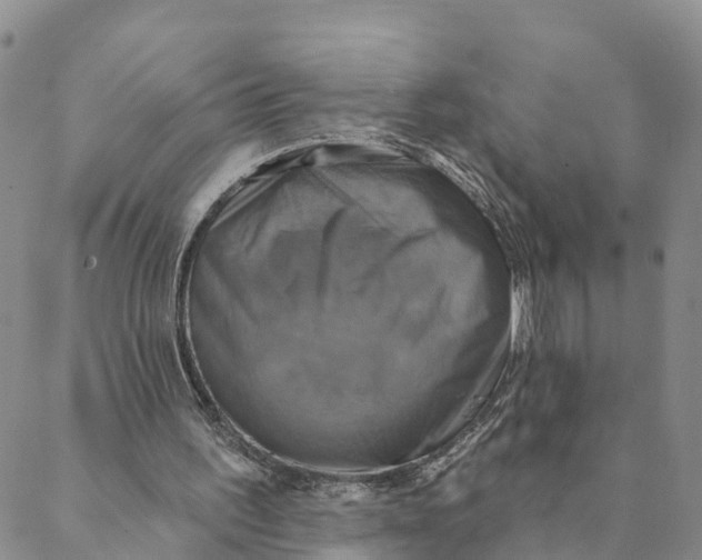 X0000088390195200706121218