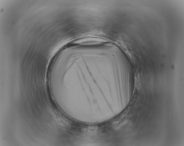 X0000088390196200706121218