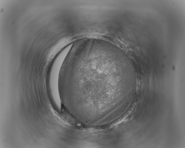 X0000088390197200706121218