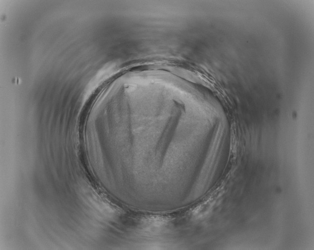 X0000088390198200706121218