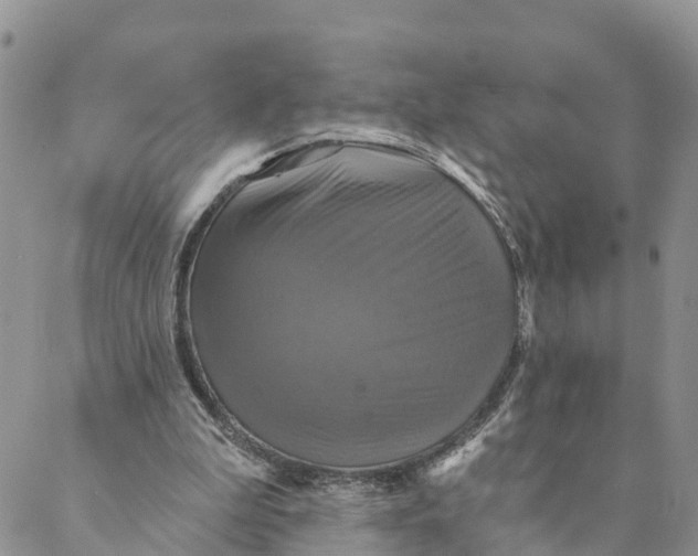 X0000088390199200706121218