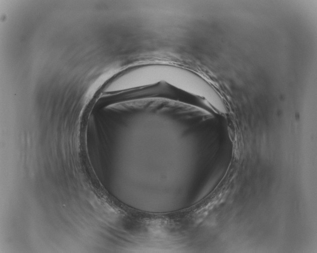 X0000088390200200706121218