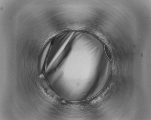 X0000088390201200706121218