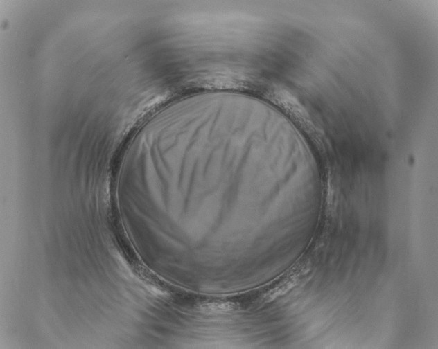 X0000088390202200706121218