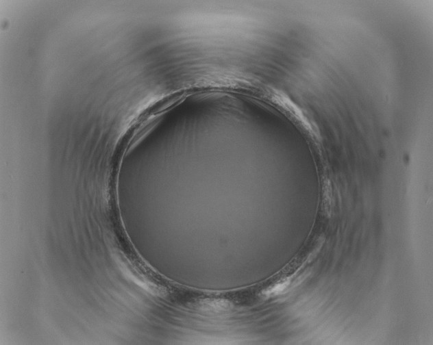 X0000088390203200706121218