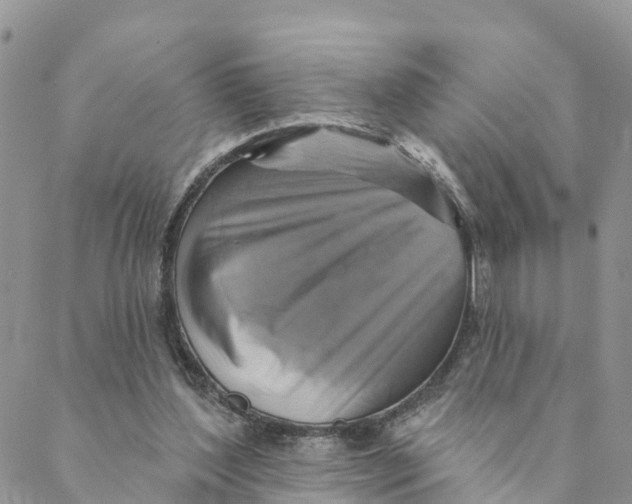 X0000088390204200706121218