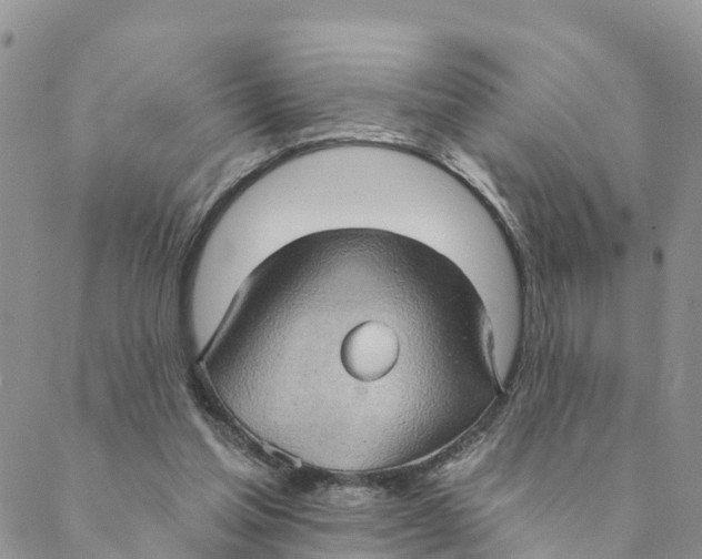 X0000088390205200706121218