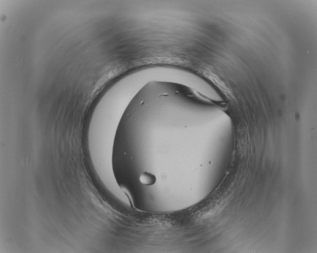 X0000088390207200706121218