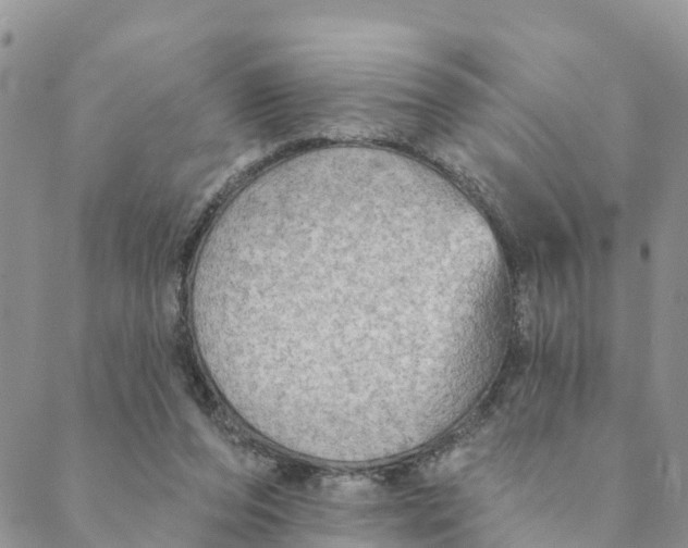 X0000088390208200706121218