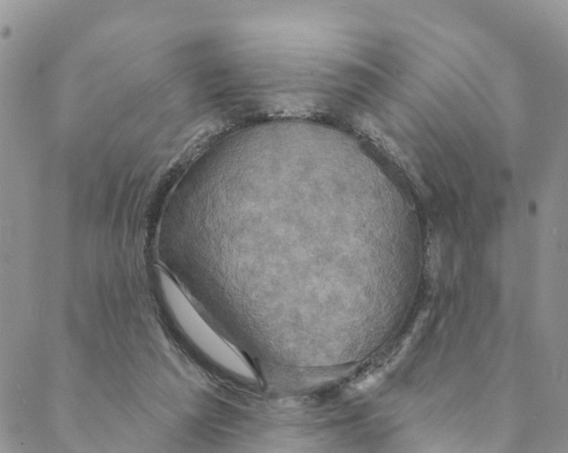 X0000088390209200706121218