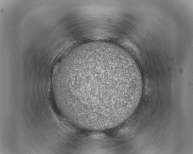 X0000088390210200706121218