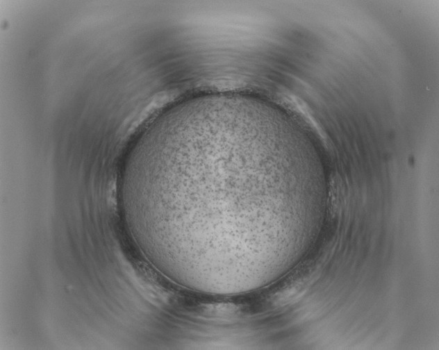 X0000088390212200706121218