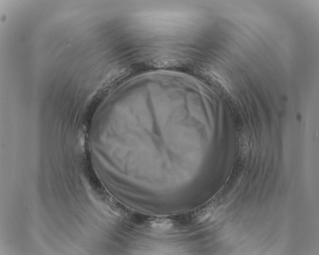 X0000088390214200706121218