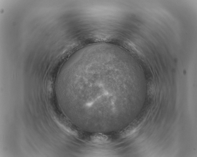 X0000088390215200706121218