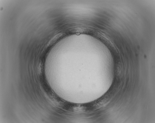 X0000088390216200706121218